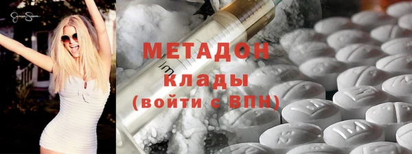 прущие грибы Армянск