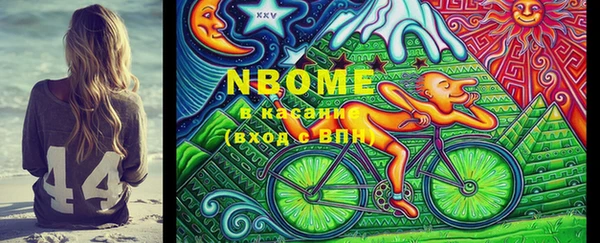 прущие грибы Армянск